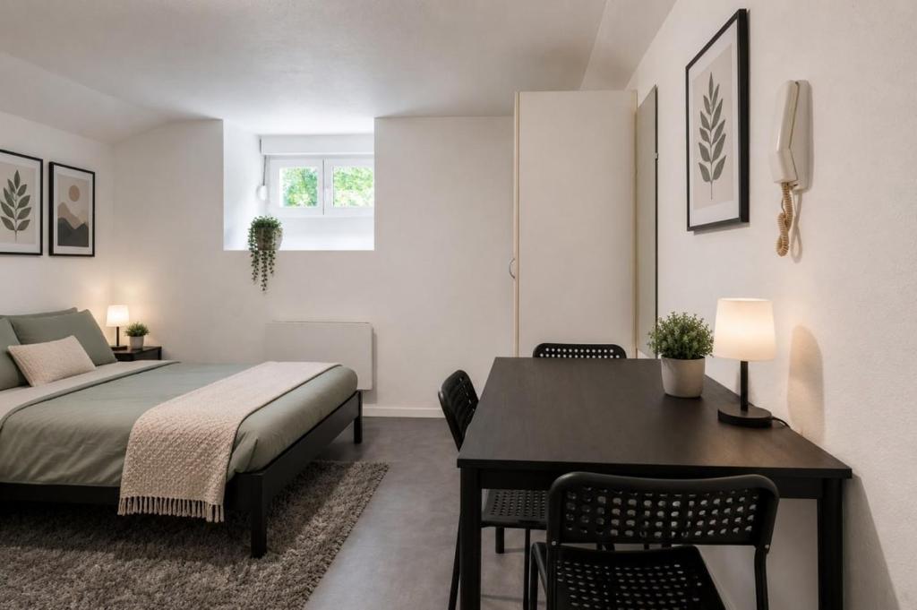 DeLuxe Studio, Naturellement Frais, Parking Privé Gratuit, MULHOUSE CENTRE - 5