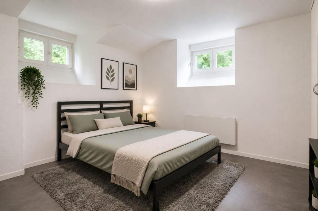 DeLuxe Studio, Naturellement Frais, Parking Privé Gratuit, MULHOUSE CENTRE - 2