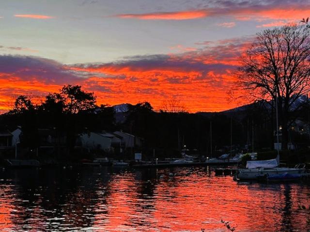 MAISON dans la MARINA de PORT RIPAILLE avec PLACE DE BATEAU Pieds dans l eau - 2