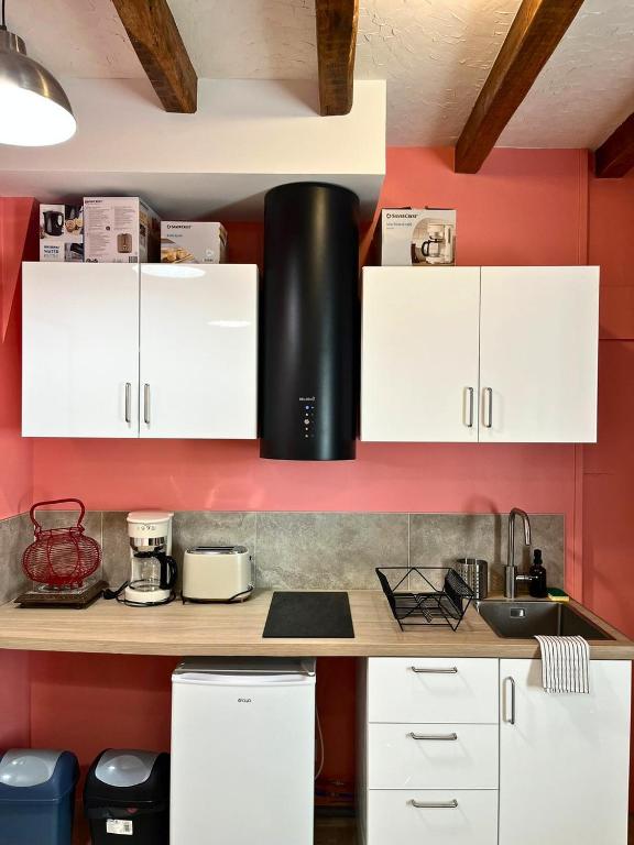 Le Rosé de Loire - Studio - Parking - 4