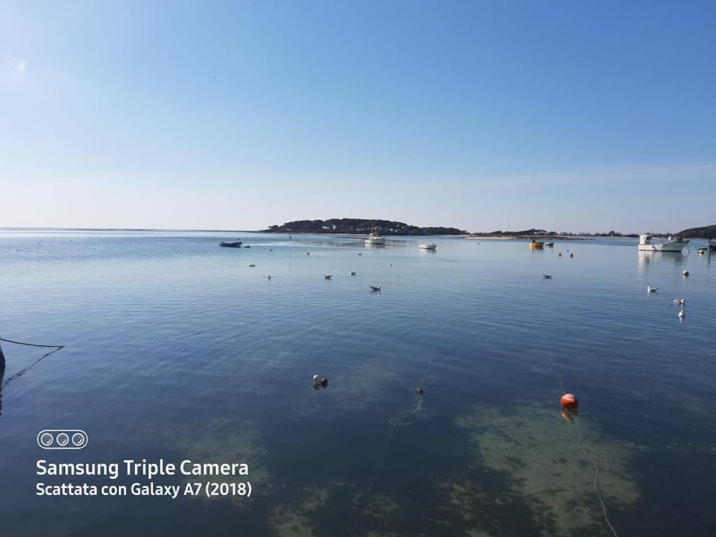 Casa Tabù, a 2 passi dal mare in Porto Cesareo - 5