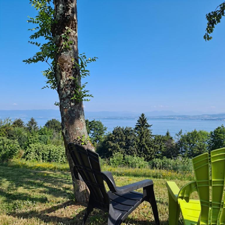Appart cosy avec vue sur Lac - 2