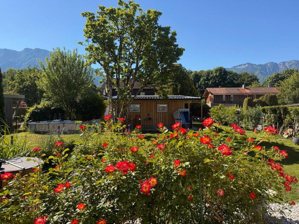 Ferienhaus Sonnenschein - 2