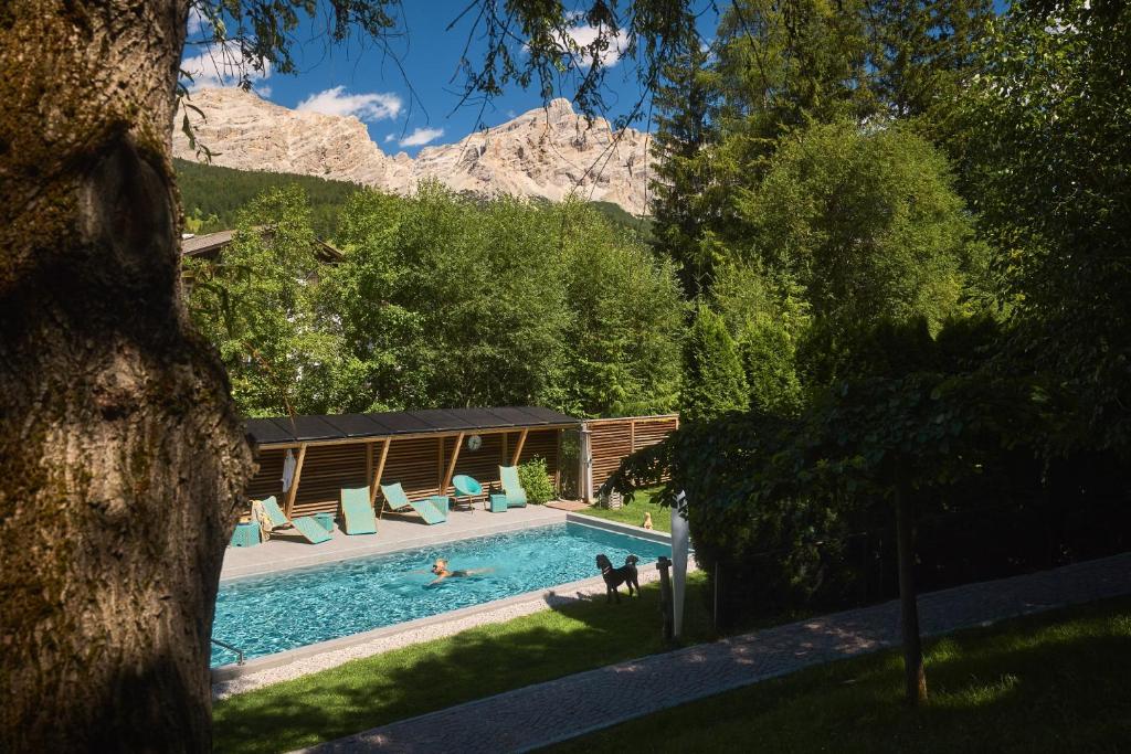 Dolomit Boutique Hotel - 2