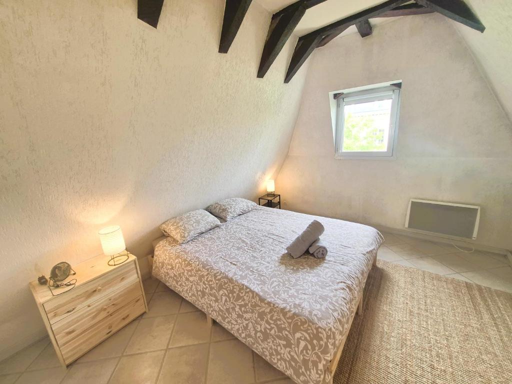 L'Echappée Belle, charmant T2, Vieux Tours - 3
