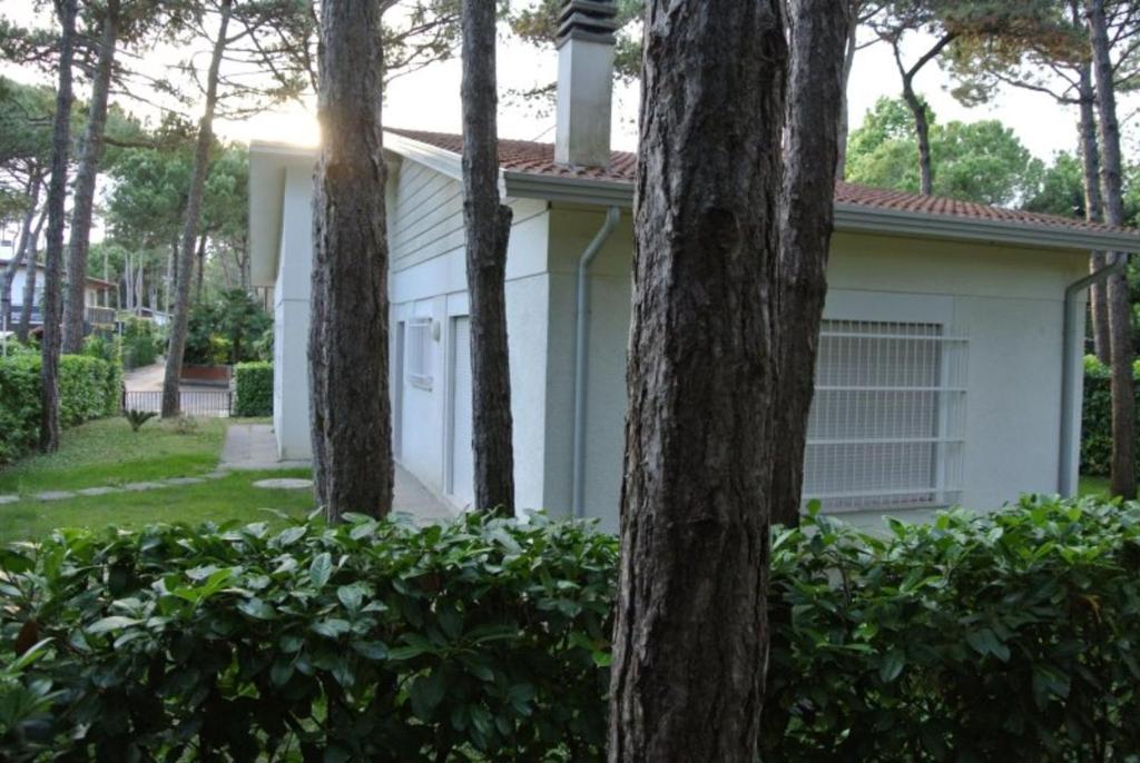 Charming villa with garden and BBQ near the beach - 1