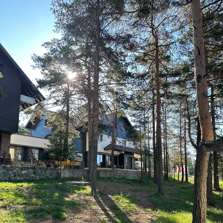 Vila Plamenac - 2