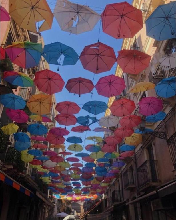 Dimora Elephant - 1