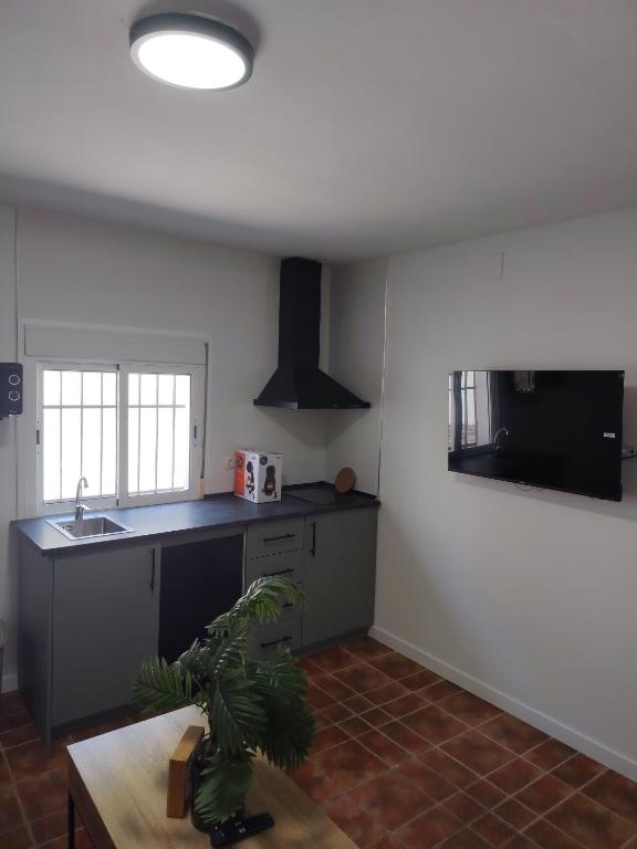 Apartamentos Los Sánchez - 4