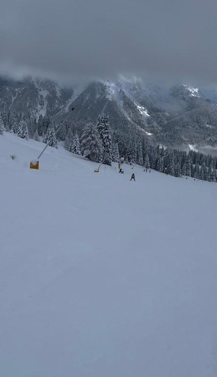 La tana dell orso - 4
