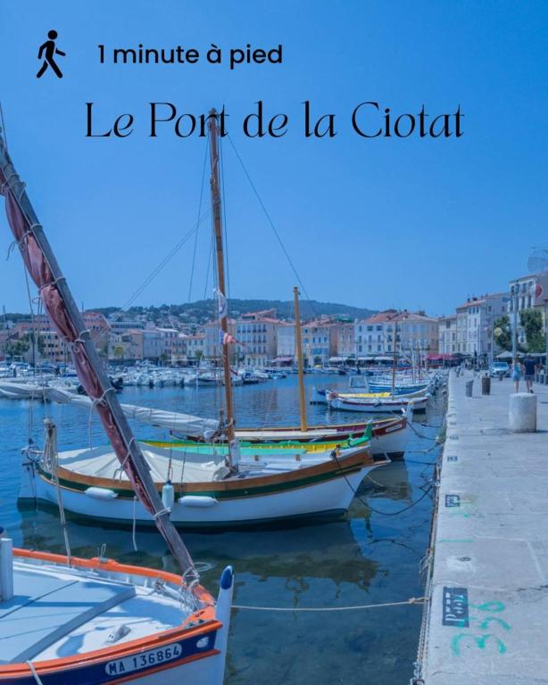 T2 Cosy & moderne à 2 min du Port - Parking inclus - 3