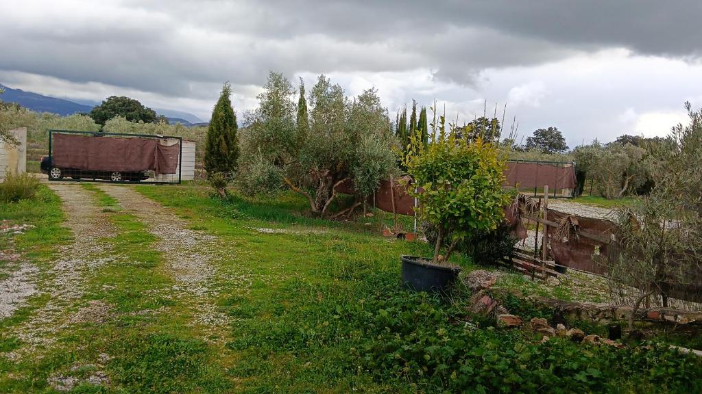 Casita del Romero Ronda - 3