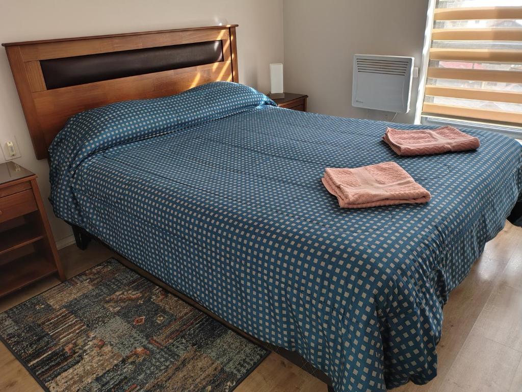 Apartamento en la Costanera con vista al rio Calle-Calle - 2