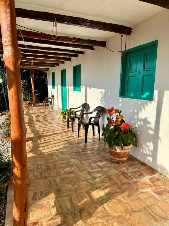 Casa Grande Arbolito - 4