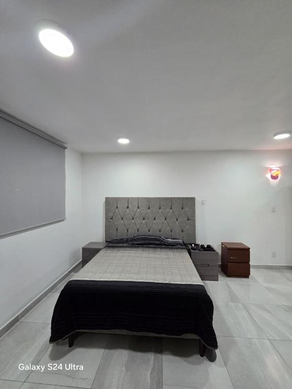 Havana House - 1