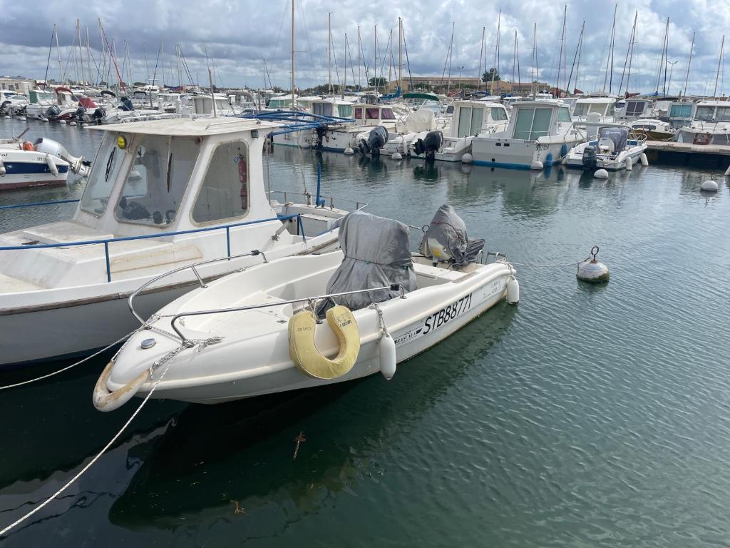 Calypso - 5