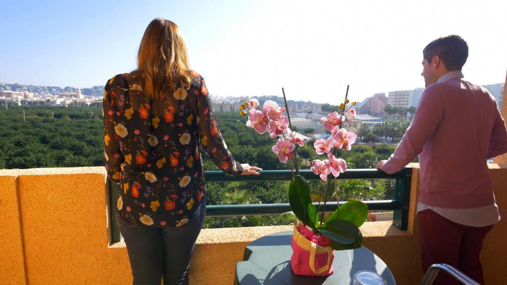 Hotel Victoria Playa — Attractions in the area in Almunecar, Andalusia