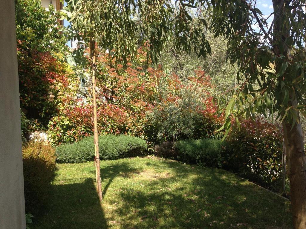 LOCATION VACANCES NICE - Villa 5* Nice St Pancrace - 4