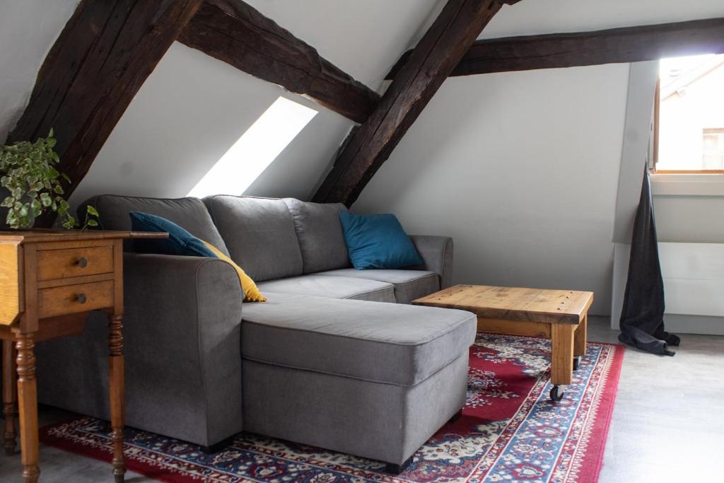 Annecy Old Town Loft - 1