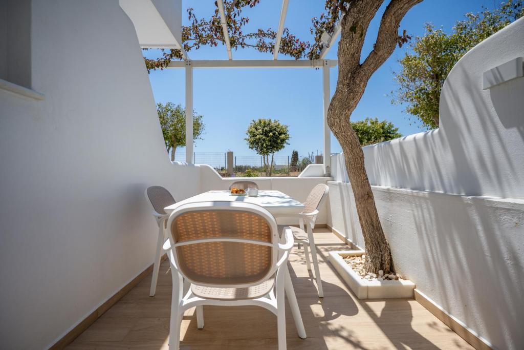 Ảnh 4