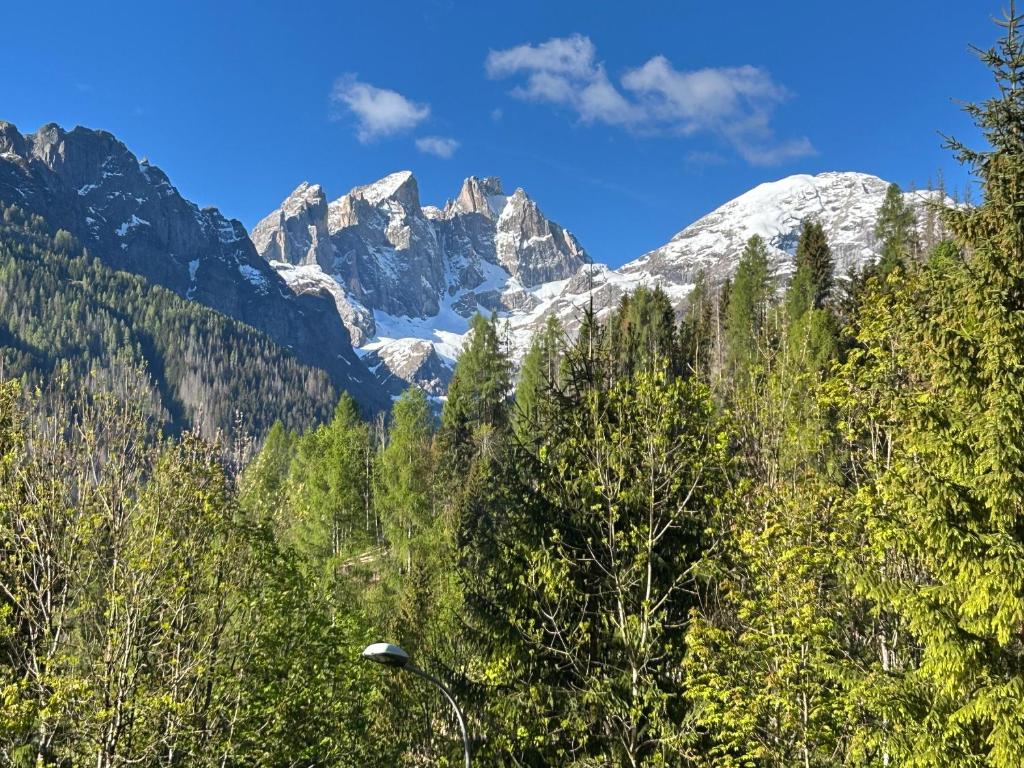 New Dolomites, Marmolada, San Pellegrino, Falcade - 3