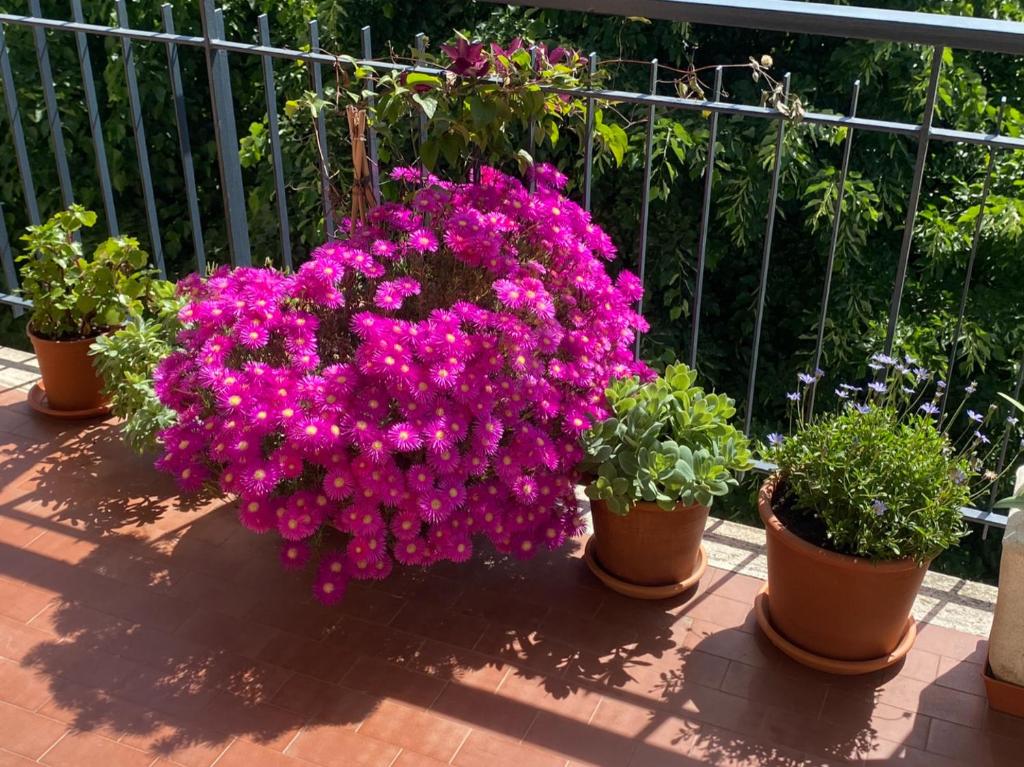 Camera Matrimoniale con bagno privato-struttura condivisa con Host-CASA ENEA - 5