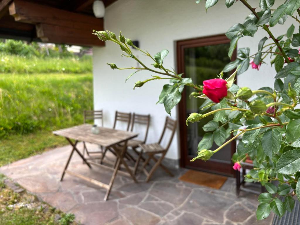 Bergnest Fieberbrunn - 4