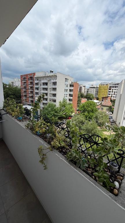 LUNI Apartman Vracar - 3