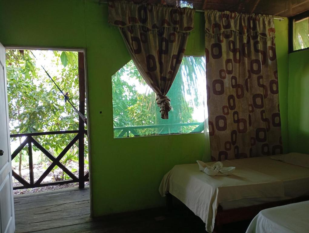 Amazon Lodge and Expeditions - 4