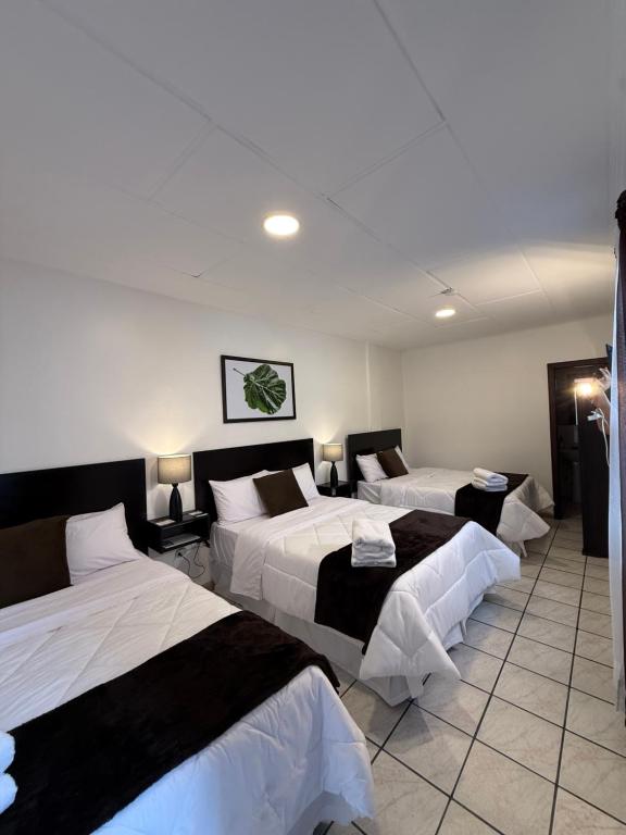 Hotel NASS del Sur - 3