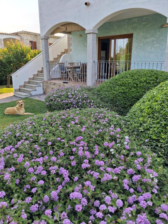 Casa vacanze terra - 2