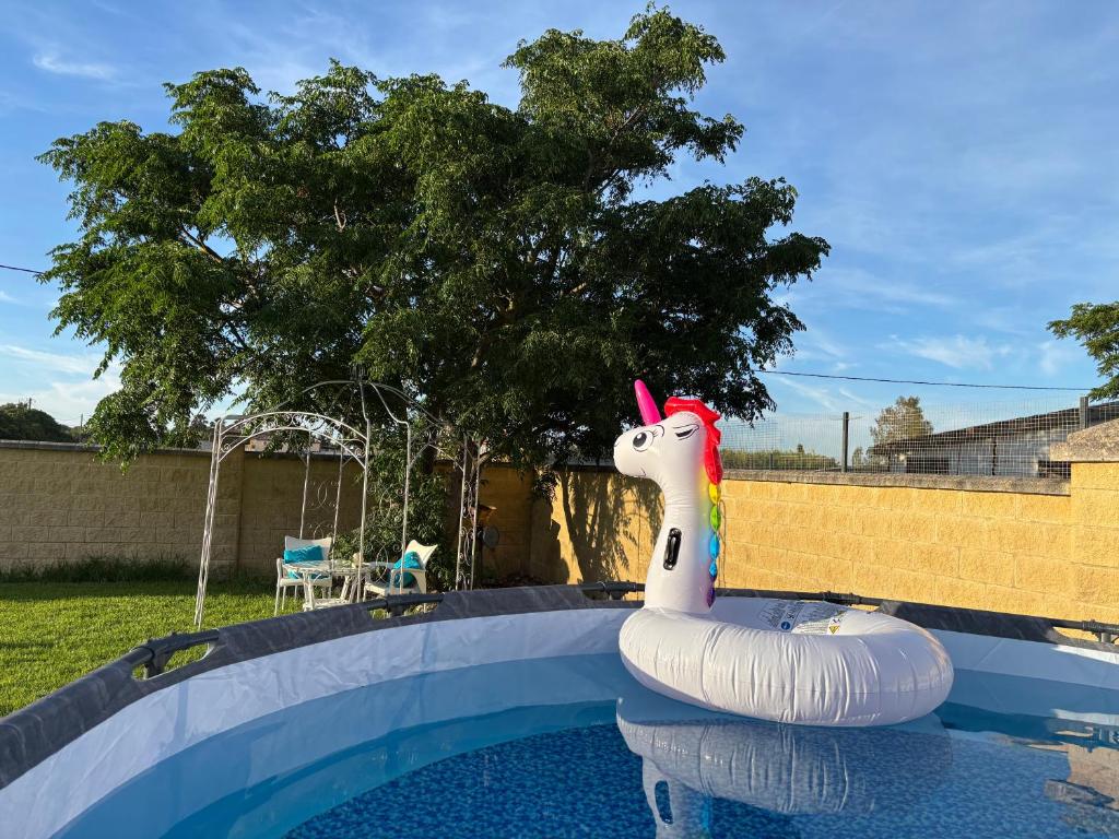 AMPLIO CHALET CON PISCINA y JARDÍN PRIVADO EN EL CORAZÓN DE LA BAHÍA DE CÁDIZ - 5