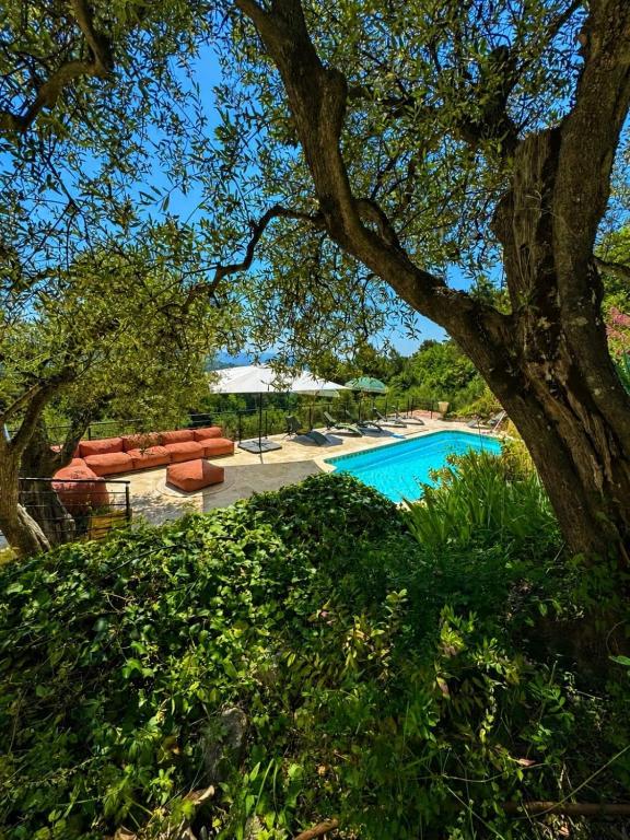 Peaceful Villa Olive Grove Sea View Pool 5 bd - 4