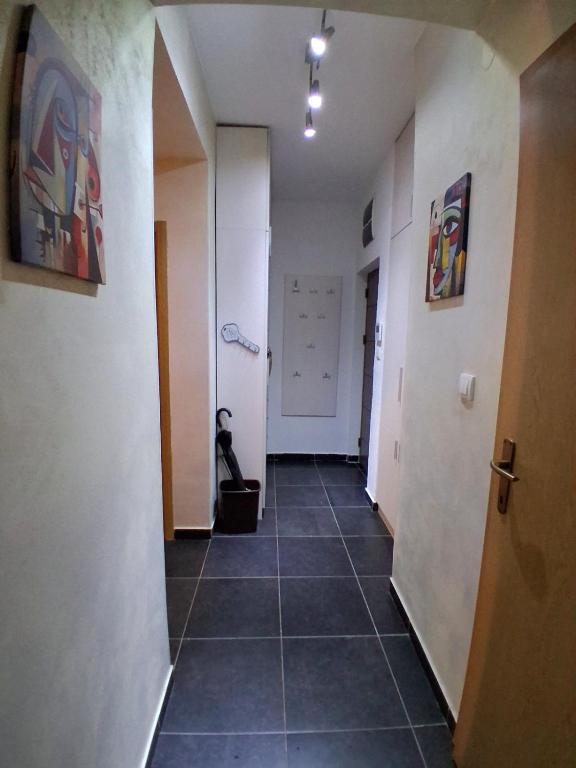 COMFORT 74 Podgorica - 1