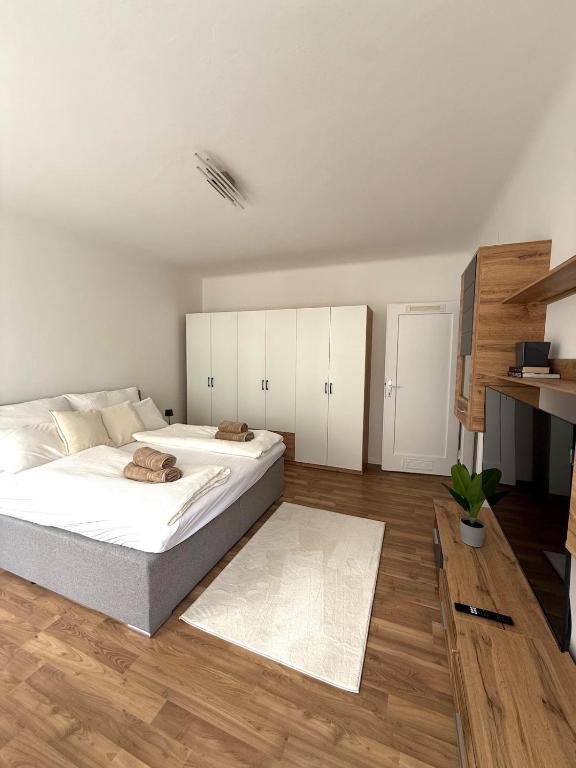 New apartment in the city center - 4