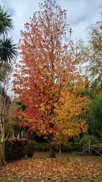 Muelle los Indios - 3