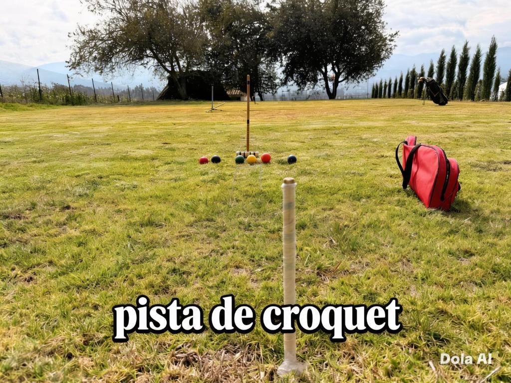 La Cabaña de Ciela C glamping con jacuzzi , minigolf y croquet - 4