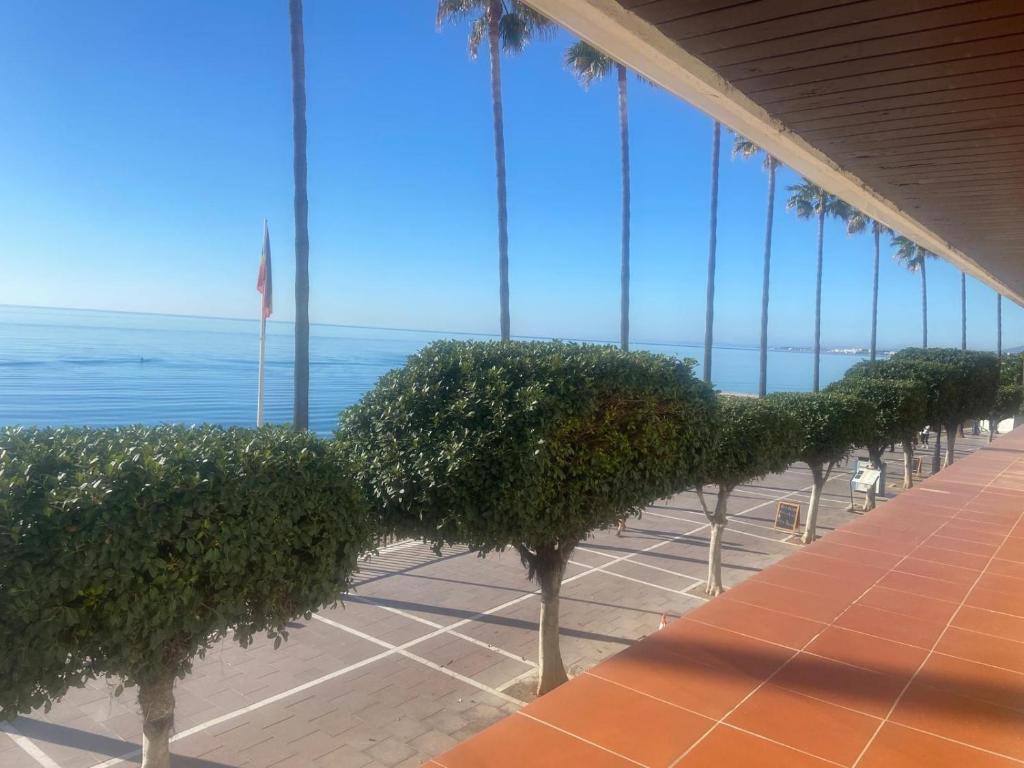 Apartamento en 1ª línea de playa - 4