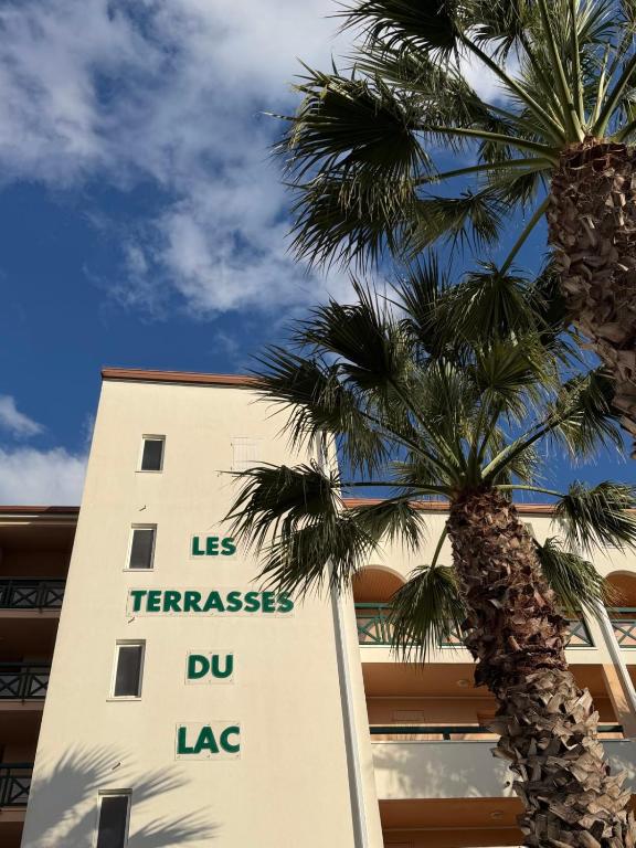 Terrasses du Lac vue lac piscine clim parking terrasse - 3