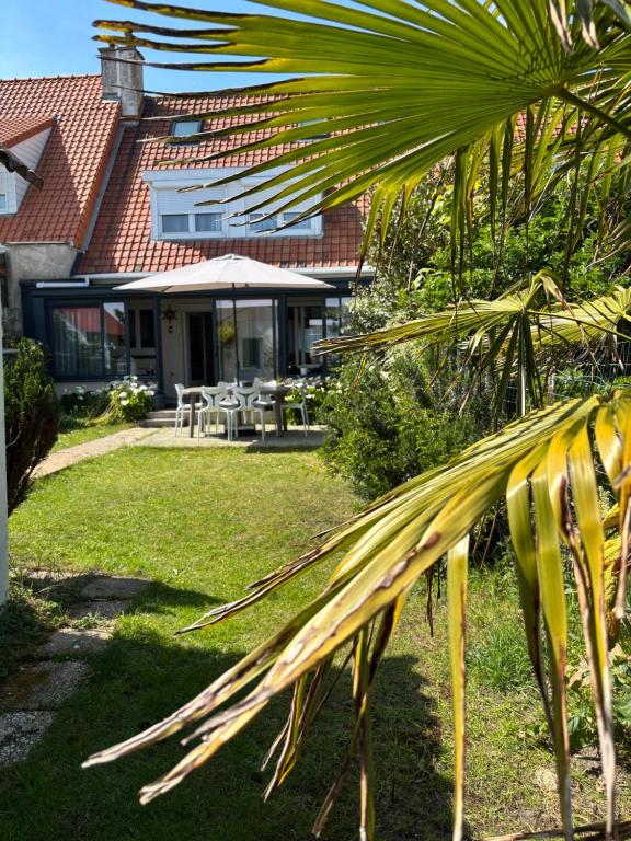 Maison Cléopâtre 4 minutes à pied de la plage 3 chambres véranda jardin parking privé - 2