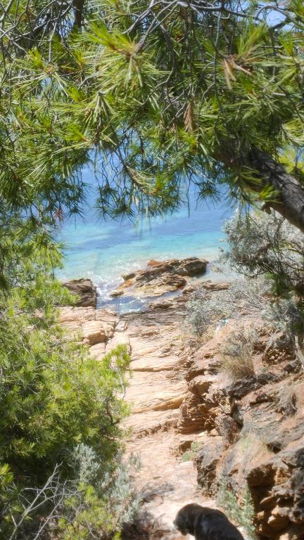 Villa La Grande Bleue - Vue mer - Plage Privée - 1