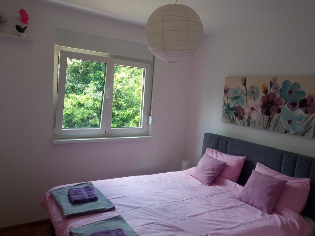 Apartman Lavanda - 2