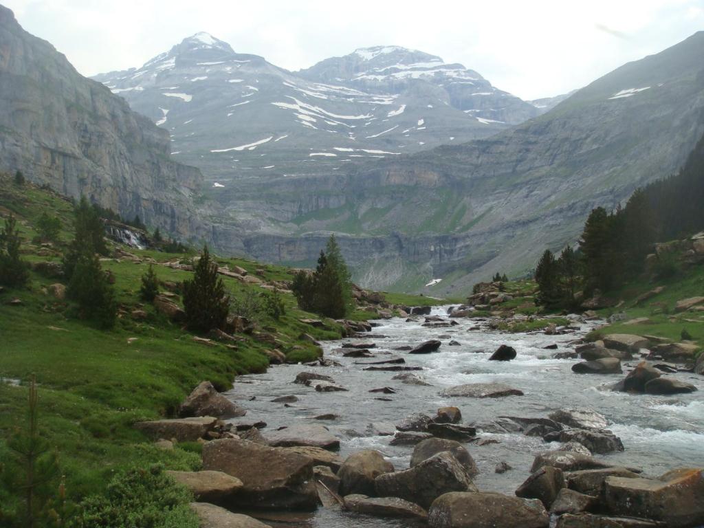 Surrounding environment