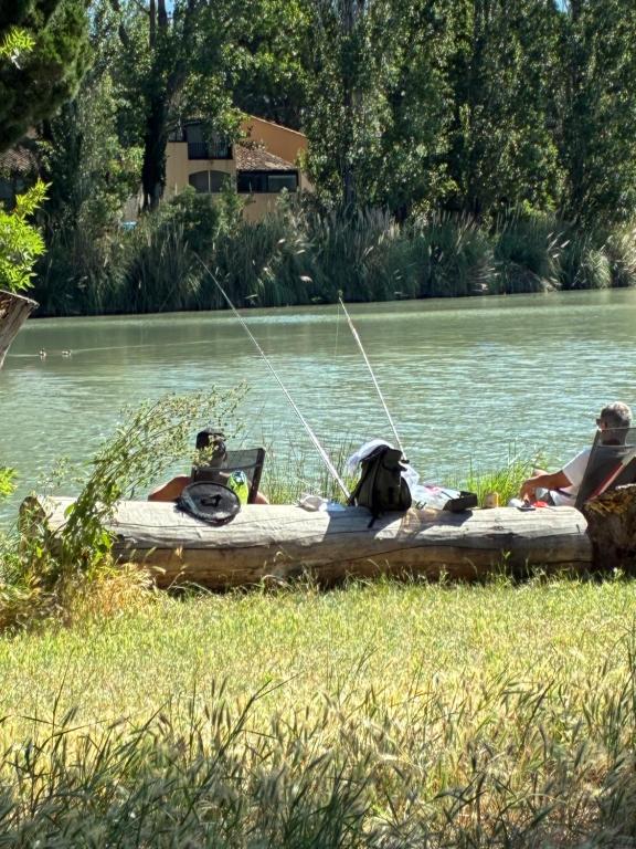 Arles Camargue - 2