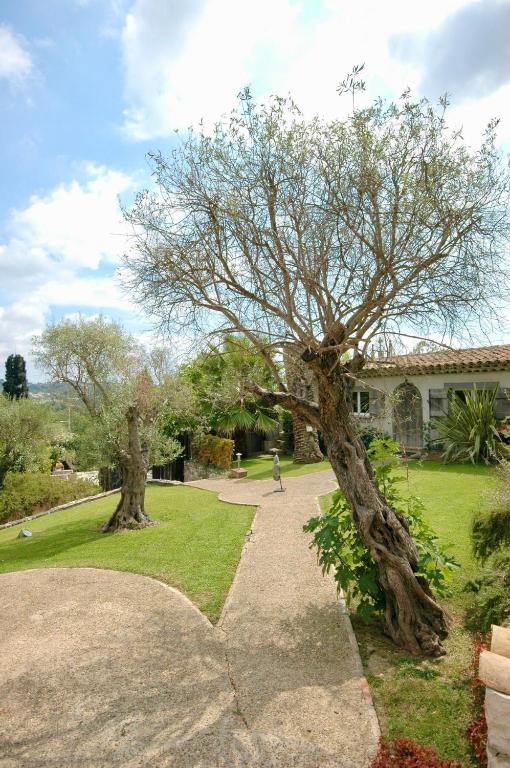 Villa 45 La Cove Sur Loup - 4