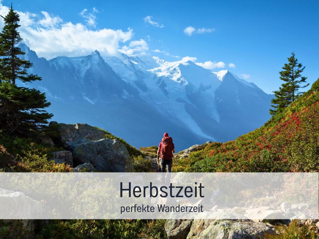 Bauernhof Finkel - Ferienwohnungen mit Balkon - Bergsicht - Traktor mitfahren - Tiere streicheln - entspannter Familienurlaub - zentrale Lage nahe Oberstdorf - 4