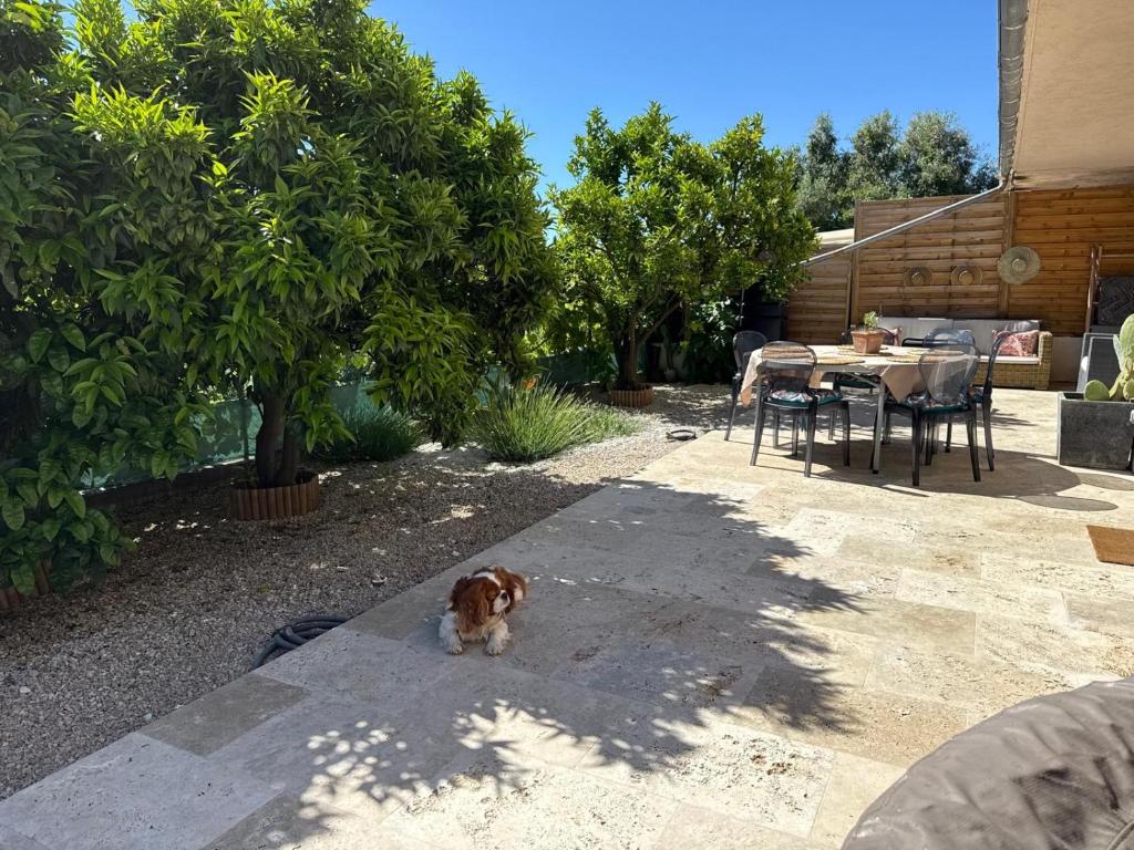 Villa Le jardín Secret - Havre de Paix à Mougins - 5