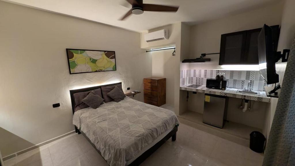 Studio-Habitacion - 1