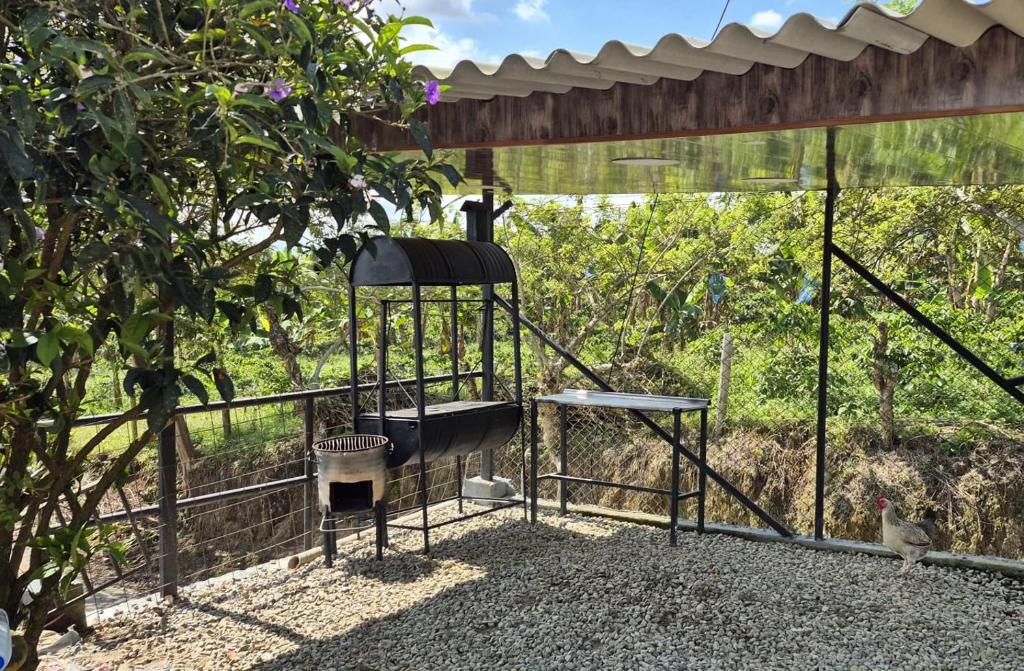 finca buenos aires - 5