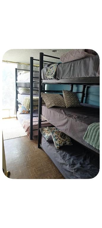 Bunk bed Apt - 3